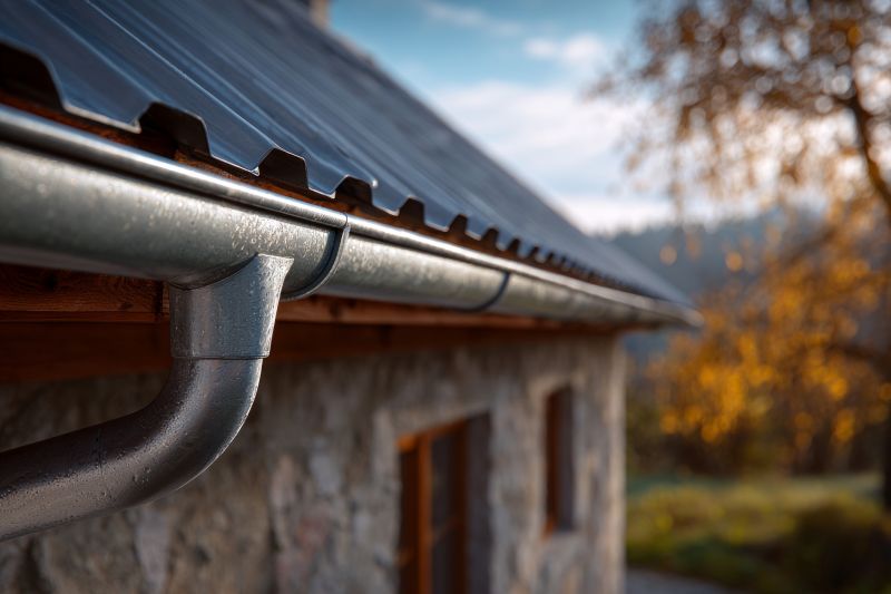 Steel Gutter Installation in Mcdonough, GA